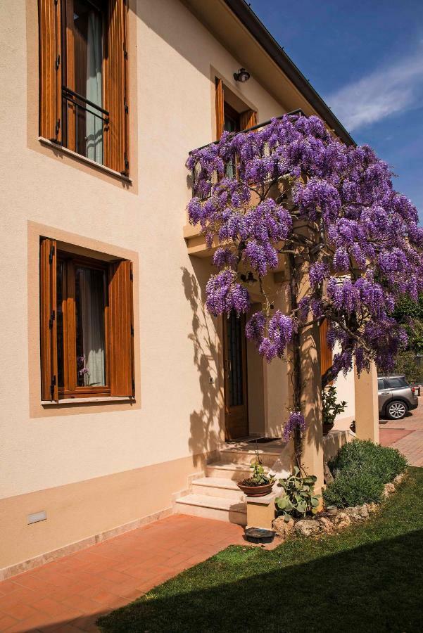 Апартаменты Casa Il Glicine A Due Passi Dal Centro Сиена Экстерьер фото